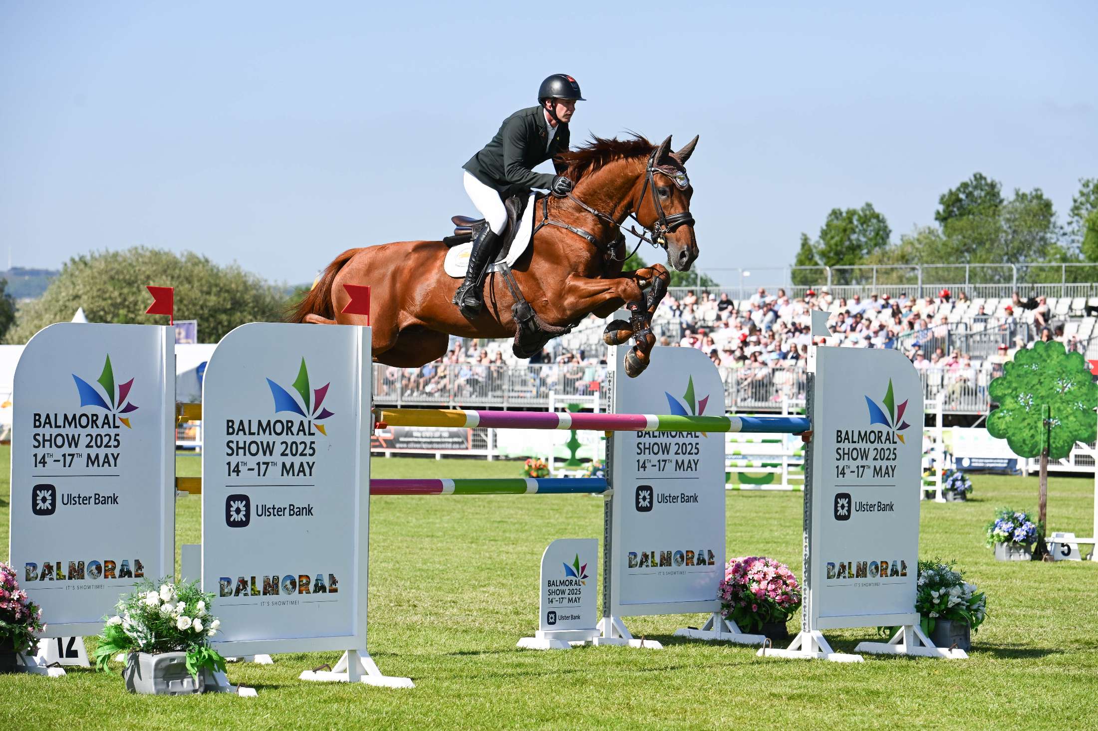 Revamped International Show Jumping Classes Set to Raise the Bar